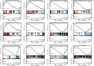 Frontiers | ATP6AP1 is a potential prognostic biomarker and is 